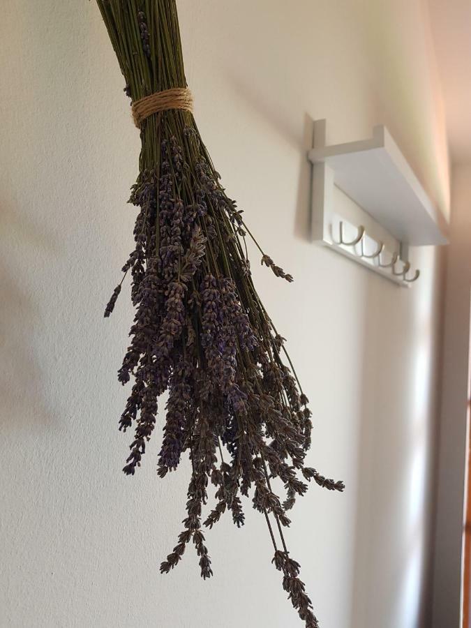 Apartment Boba Murter Kültér fotó